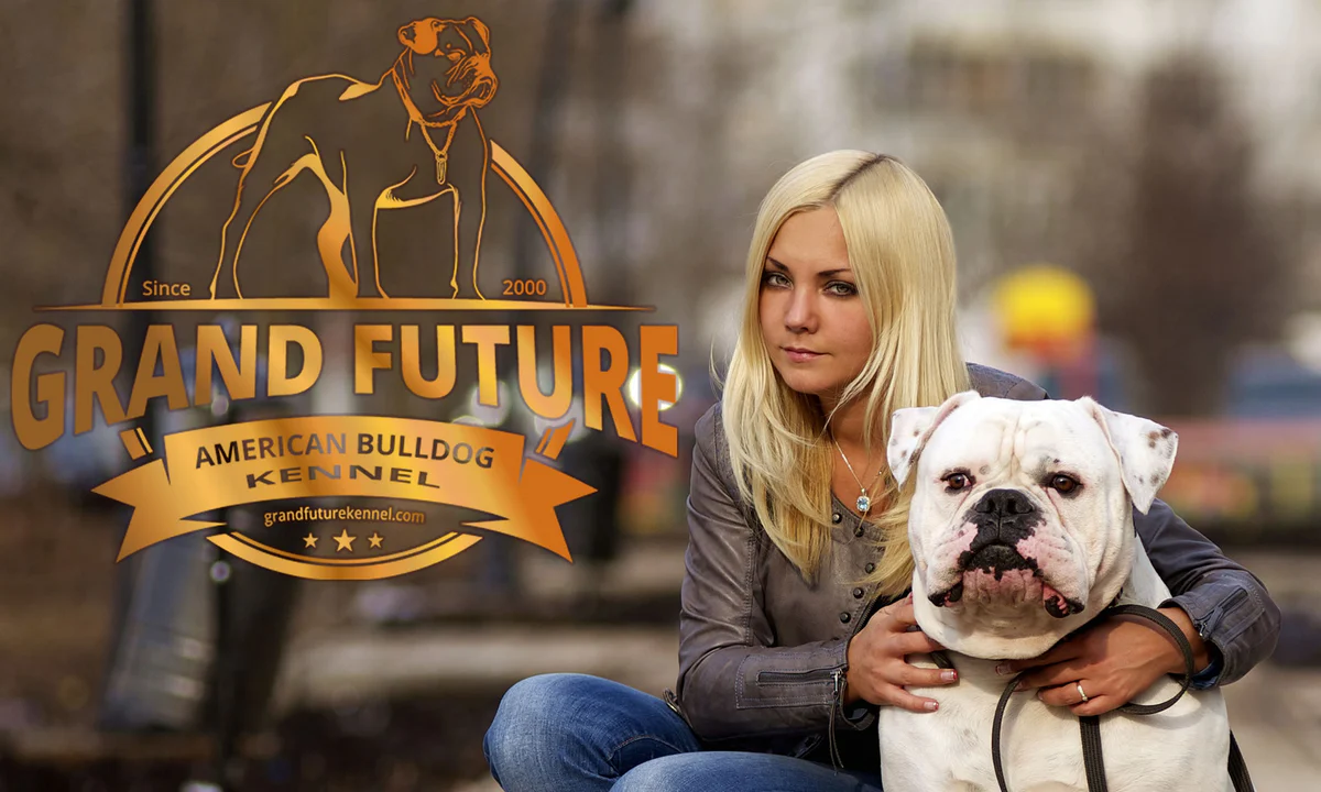 Grand Future American Bulldogs